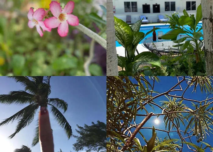 Hotel Balxiba